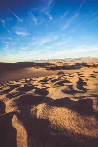 Desert, sand surface, sunny day, 240x320 wallpaper