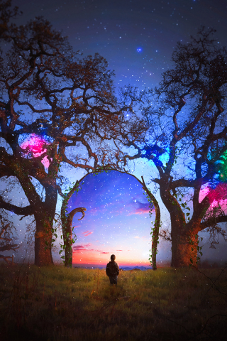 Colorful, silhouette, arch, starry sky, landscape, tree, 240x320 wallpaper