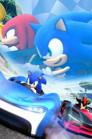 Sonic The Hedgehog, Video game, kart racing game, Nintendo, 240x320 wallpaper