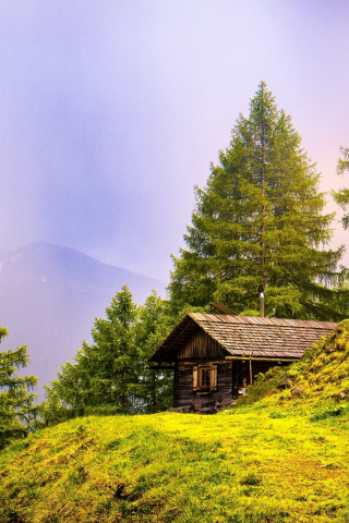 Alpine, hut, landscape, nature, trees, 240x320 wallpaper