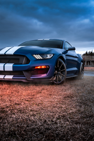 Ford Mustang, Shelby GT500, muscle car, 240x320 wallpaper