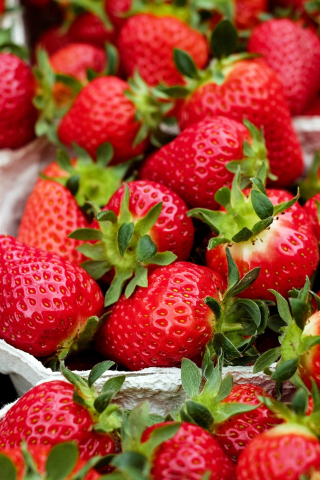Strawberry, baskets, fruits, close up, 240x320 wallpaper