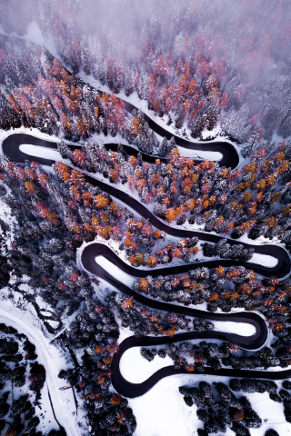 Turns, road, winter, forest, aerial view, 240x320 wallpaper