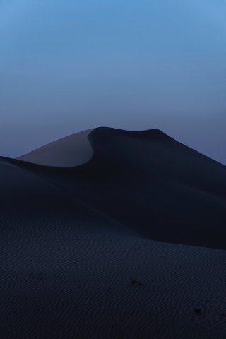 Desert, Night, UAE, 240x320 wallpaper