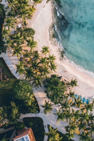 Aerial views of palms and beach, resort, nature, 240x320 wallpaper