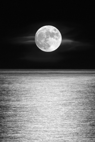 Moon, sea, sky, monochrome, night, 240x320 wallpaper
