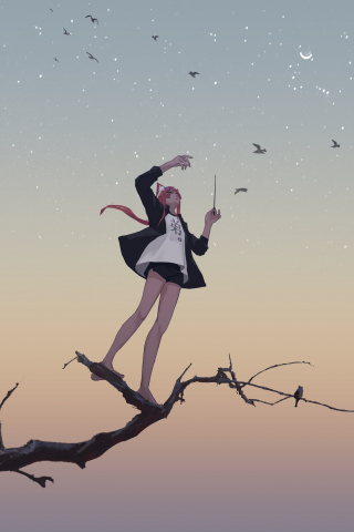 Relaxed, anime girl, birds, sunset, sky, art, 240x320 wallpaper