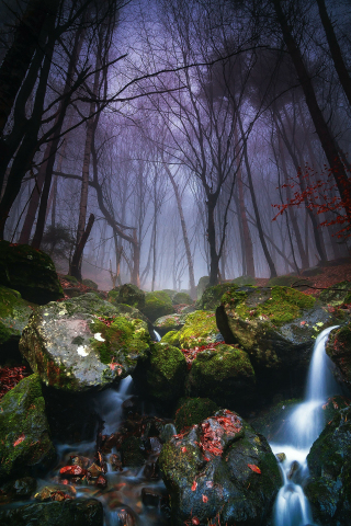 Bulgaria Forest, nature, adorable rocks, waterfall, 240x320 wallpaper
