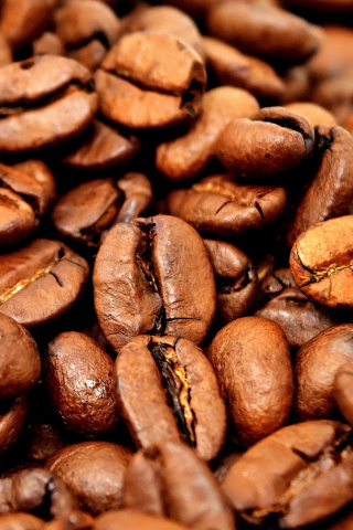 Coffee beans, close up, 240x320 wallpaper