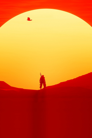 Sun, warrior, sunset, silhouette, Assassin's creed, 240x320 wallpaper