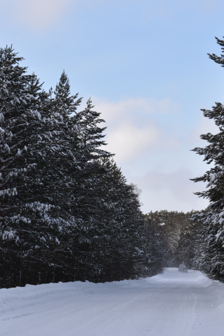 Winter, road, snow layer, nature, 240x320 wallpaper