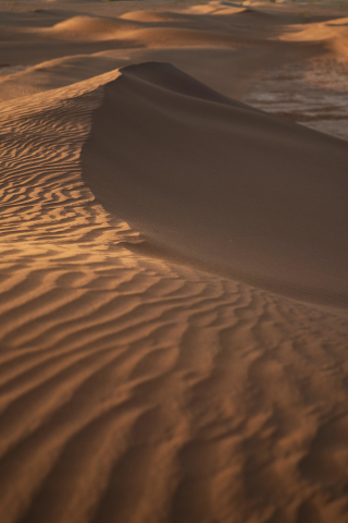 Dunes of desert, sand, 240x320 wallpaper
