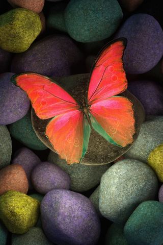 Butterfly on rocks, colorful rocks, art, 240x320 wallpaper
