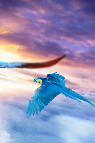 Macaw, Journey, flights, sky, art, 240x320 wallpaper