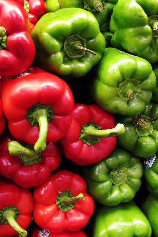 Red and green, vegetables, peppers, 240x320 wallpaper