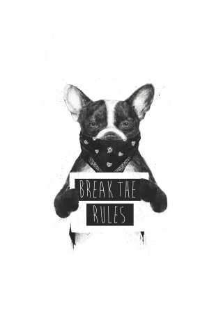 Artwork, bulldog, Rebel dog, bw, 240x320 wallpaper