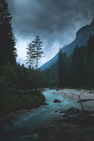 Nature, forest, river, green trees, 240x320 wallpaper