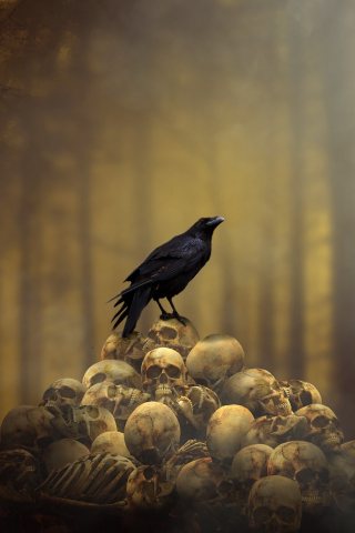 Fantasy, raven, skulls' heap, bird, 240x320 wallpaper