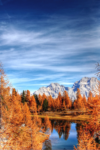 Dolomites, mountains, forest, lake, clean sky, autumn, 240x320 wallpaper