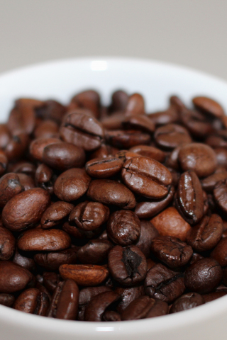 Roasted, coffee beans, cup, 240x320 wallpaper