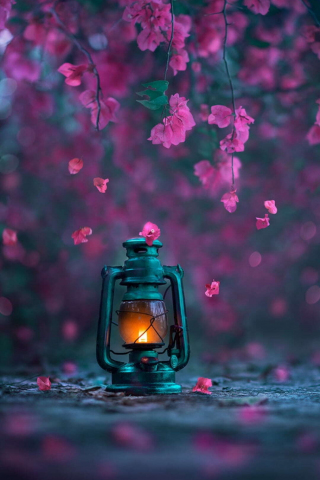 Lantern and beautiful blossom, photography, 240x320 wallpaper