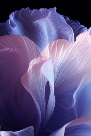 ColorOS, 2023, abstract, stock photo, white petal art, 240x320 wallpaper