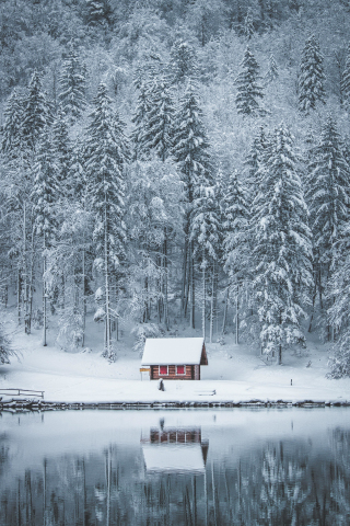 Winter, house, lake, frozen lake, forest, nature, 240x320 wallpaper