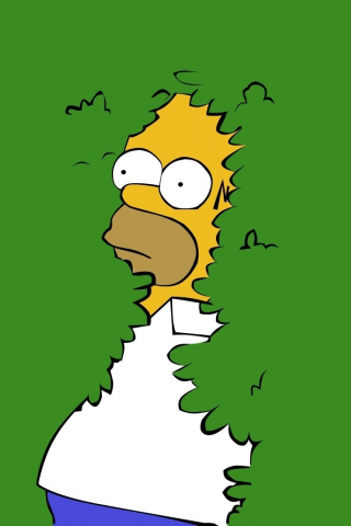 Minimal, Homer Simpson, animated series, 240x320 wallpaper