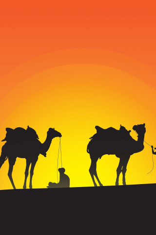Camels, sunset, silhouette, desert, minimal, 240x320 wallpaper