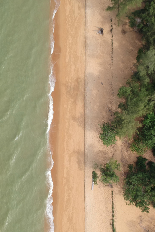 Aerial shot, trees, beach, 240x320 wallpaper
