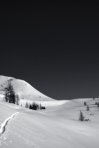 Winter, landscape, nature, white, 240x320 wallpaper