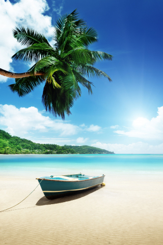 Boat, clear sky, clouds, sea, palm tree, beach, 240x320 wallpaper
