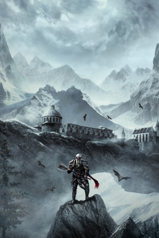 The Elder Scrolls Online, warrior, online game, 240x320 wallpaper