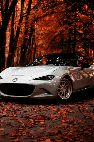 Mazda, off-road, autumn, sports car, 240x320 wallpaper