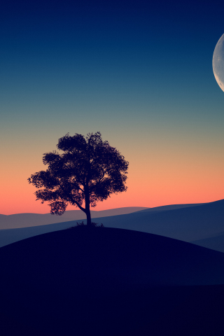Tree, dark evening, silhouette, 240x320 wallpaper