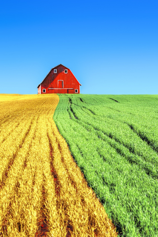 Farms, house, sky, landscape, 240x320 wallpaper