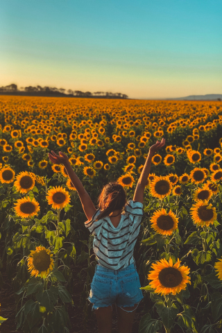 Download 240x320 Wallpaper Sunny Day Sunflowers Farm Woman Old Mobile Cell Phone Smartphone 240x320 Hd Image Background 18963