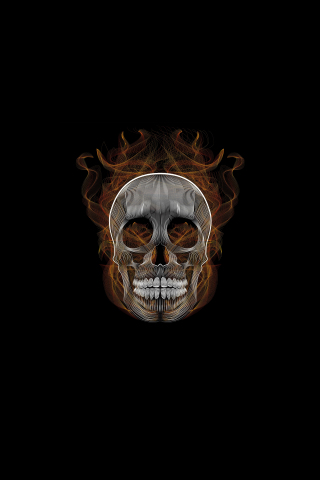 Blend, skull, vector, illustration, 240x320 wallpaper