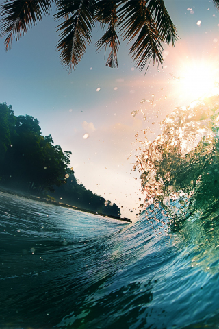 Water splashes, palm tree, sea waves, tide, nature, 240x320 wallpaper