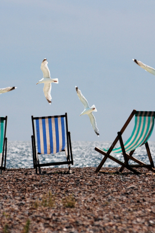 Summer, beach, seagulls, deckchairs, 240x320 wallpaper