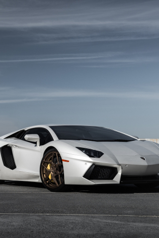 White sports car, Lamborghini Aventador, front, 240x320 wallpaper