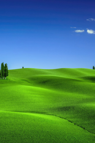 Green meadows, landscape, nature, Tuscany, 240x320 wallpaper