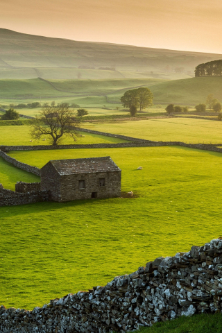 Farms, landscape, Yorkshire Dales national park, nature, 240x320 wallpaper