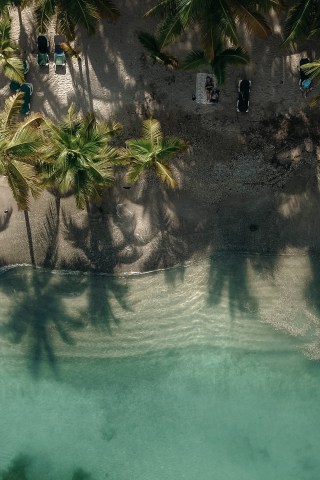 Exotic, beach, palm trees, drone view, 240x320 wallpaper
