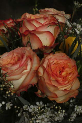 Bouquet, flowers, rose, wild, white flowers, 240x320 wallpaper