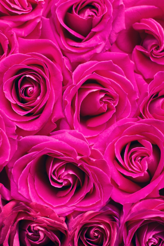 Pink roses, decorations, bouquet, 240x320 wallpaper