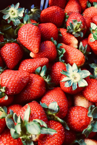 Red fruits, strawberries, fresh, 240x320 wallpaper