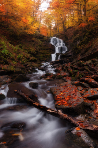 Autumn, forest, water current, waterfall, nature, 240x320 wallpaper