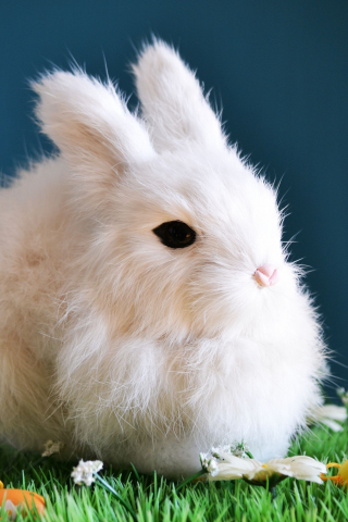 Cute, white bunny, animal, rabbit, 240x320 wallpaper