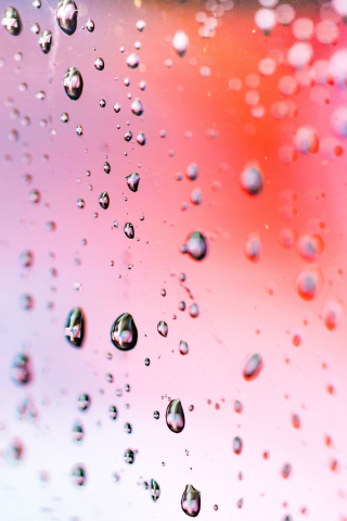 Drops, pink, transparent, surface, 240x320 wallpaper